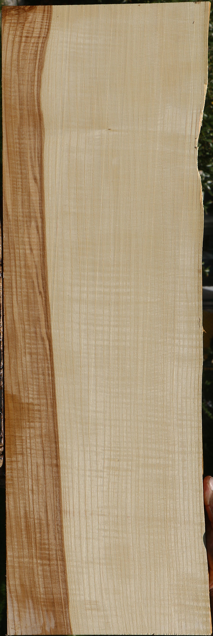 Extra Fancy Quartersawn Modesto Ash Lumber