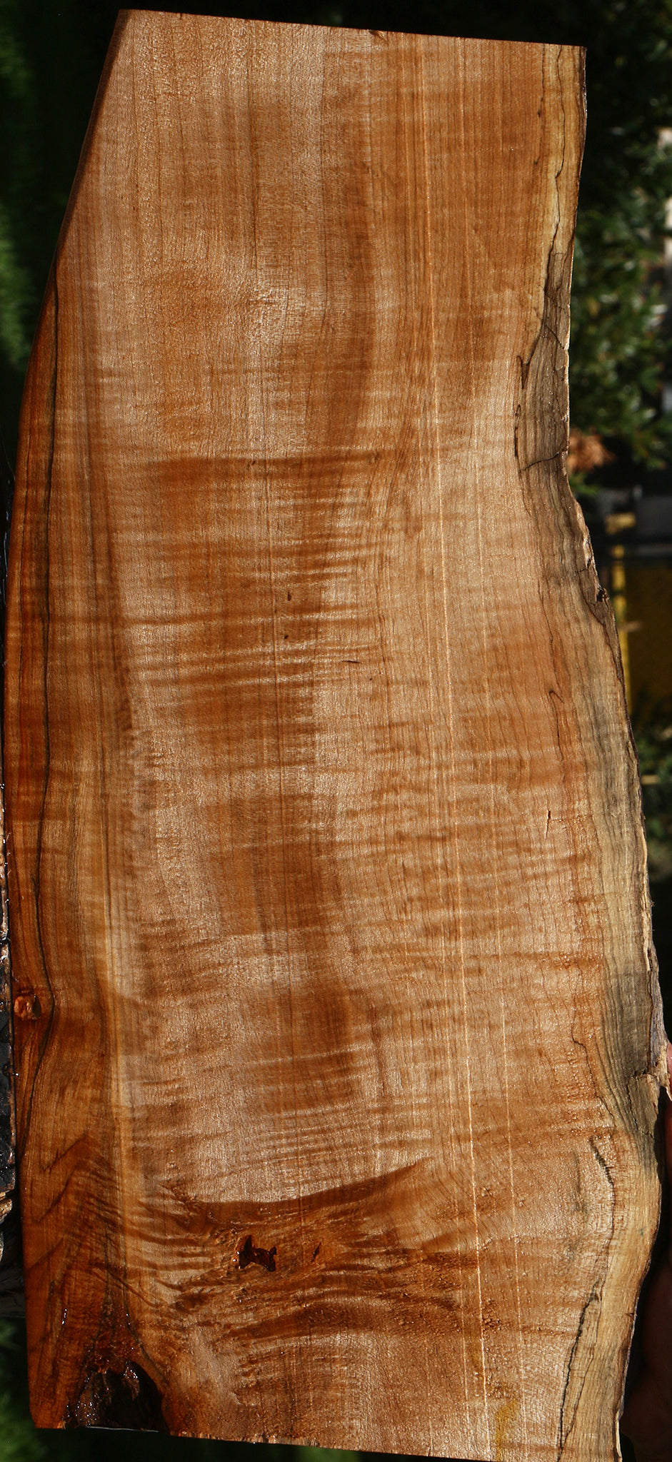 Extra Fancy Maple Live Edge Lumber
