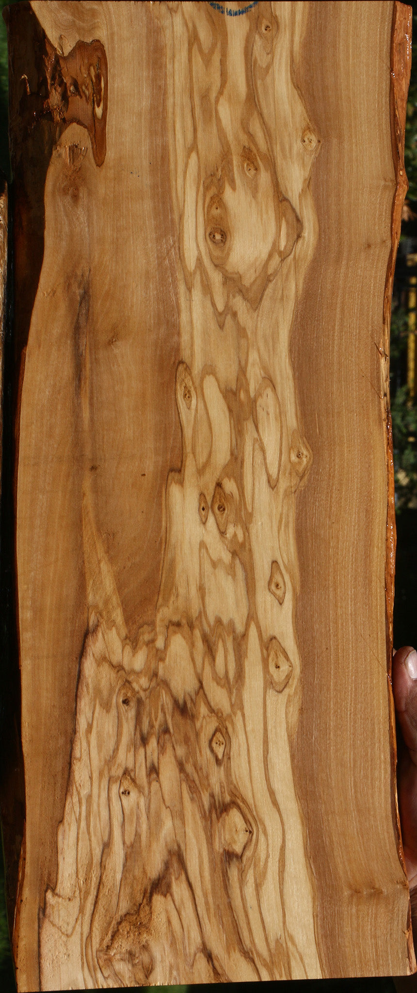 Extra Fancy Olive Live Edge Lumber