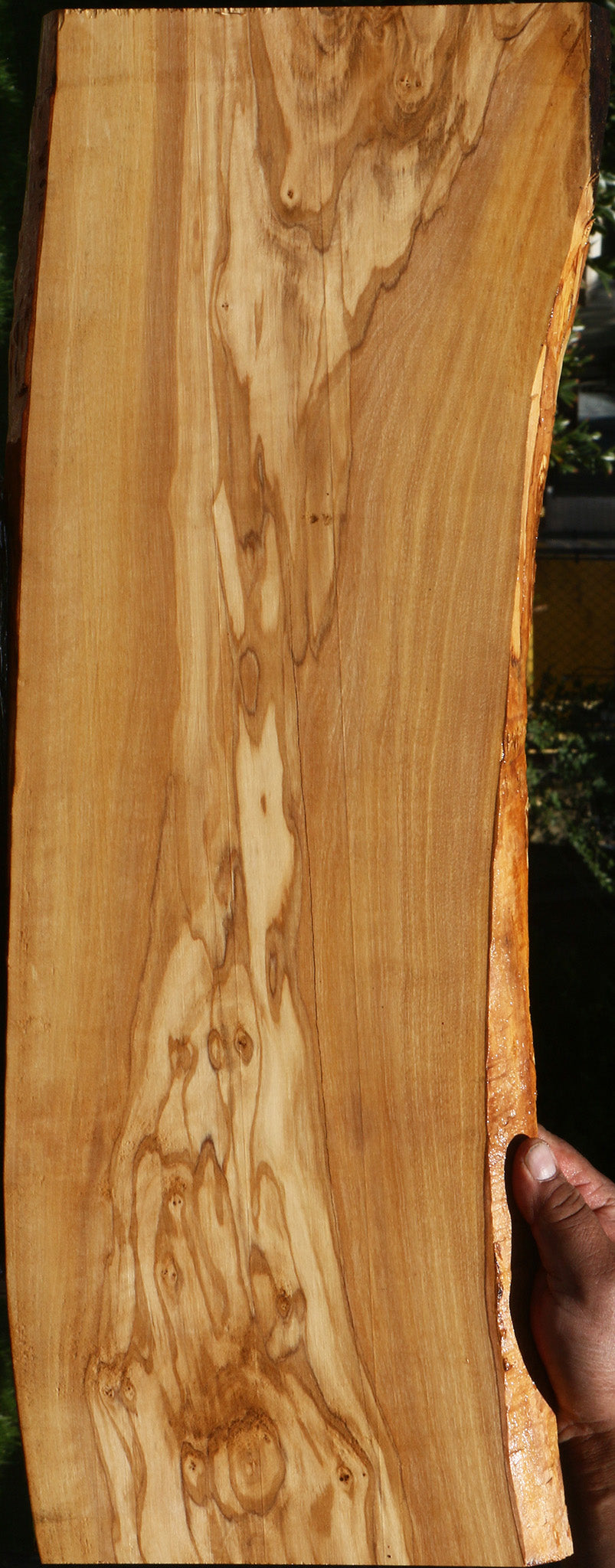 Olive Live Edge Lumber