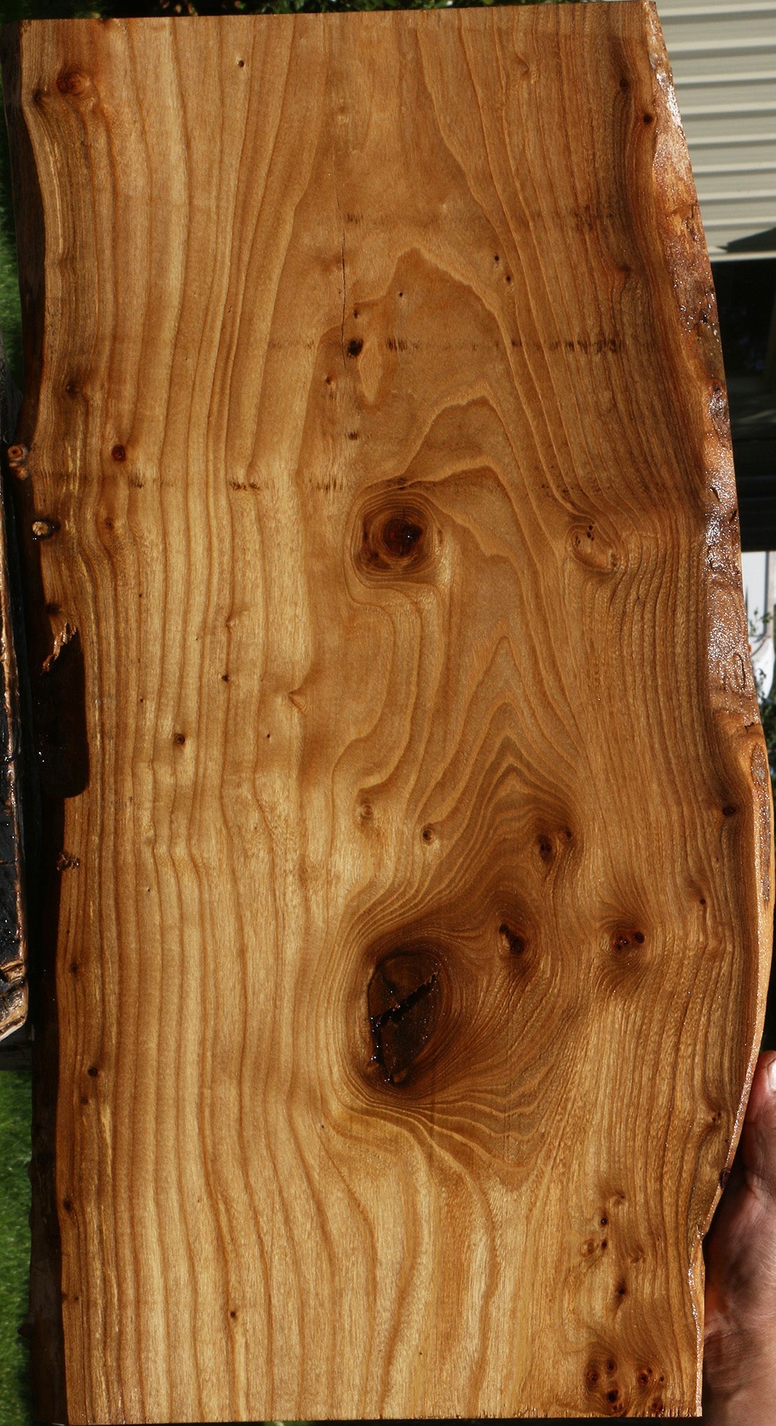 Figured Siberian Elm Live Edge Lumber