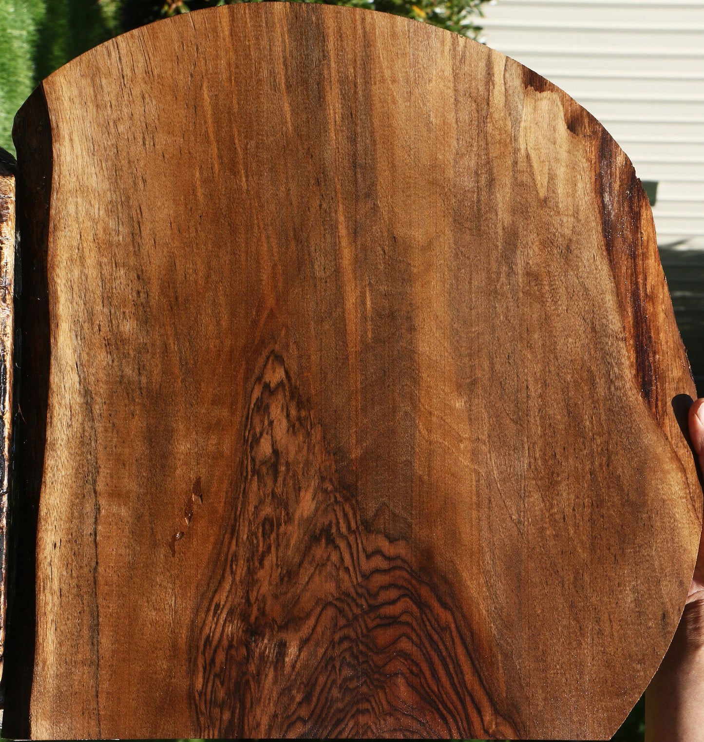 Extra Fancy English Walnut Live Edge Lumber