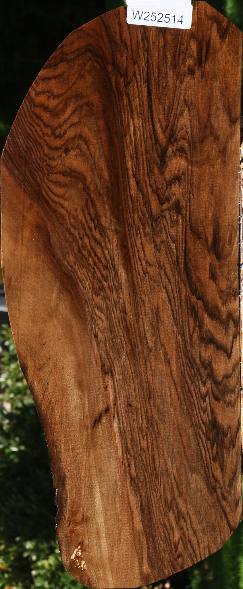 Exhibition English Walnut Live Edge Lumber