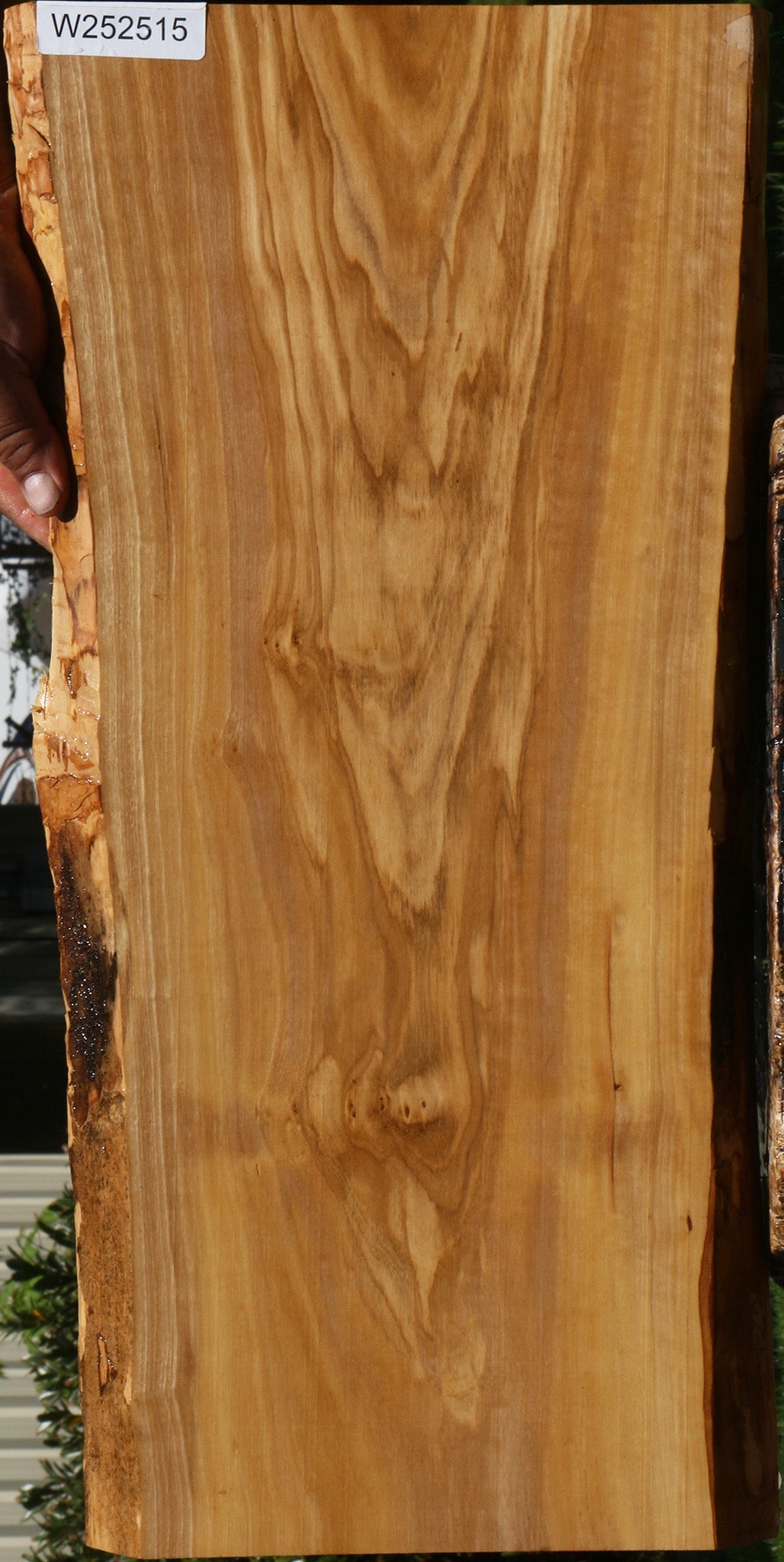 Olive Live Edge Lumber