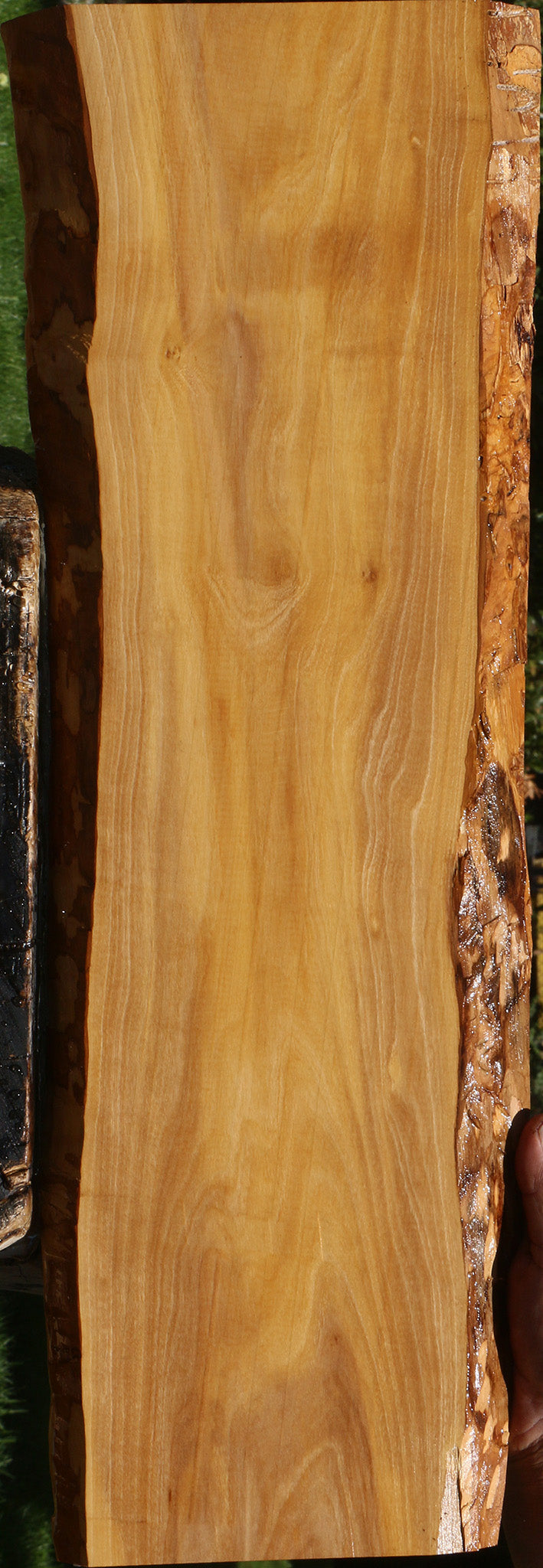 Olive Live Edge Lumber