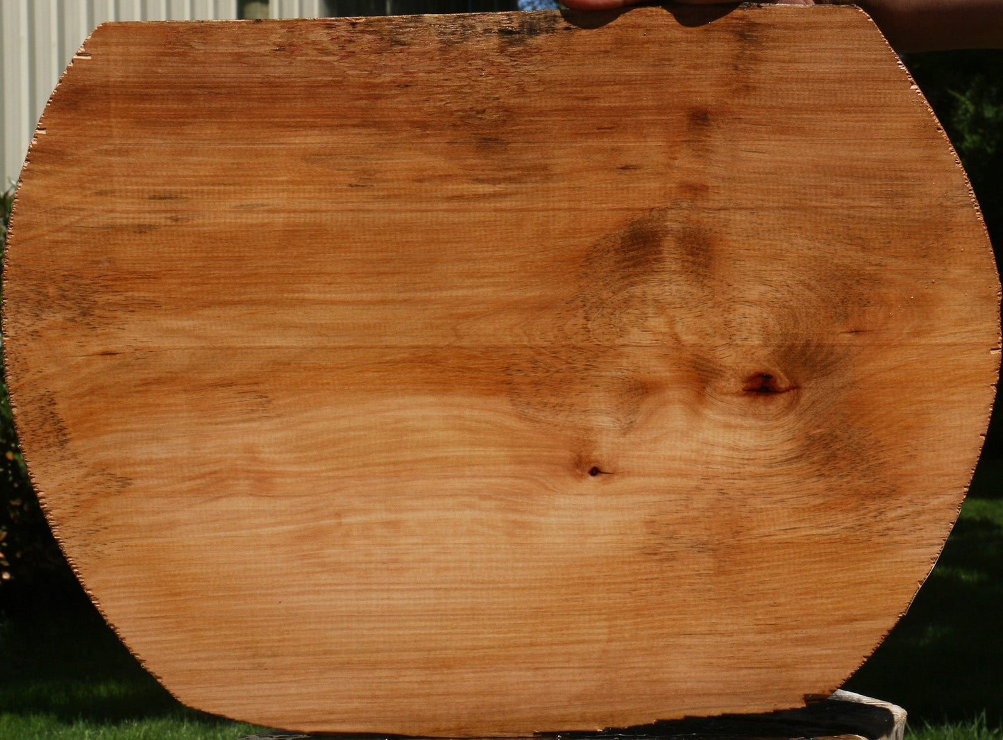Madrone Live Edge Lumber