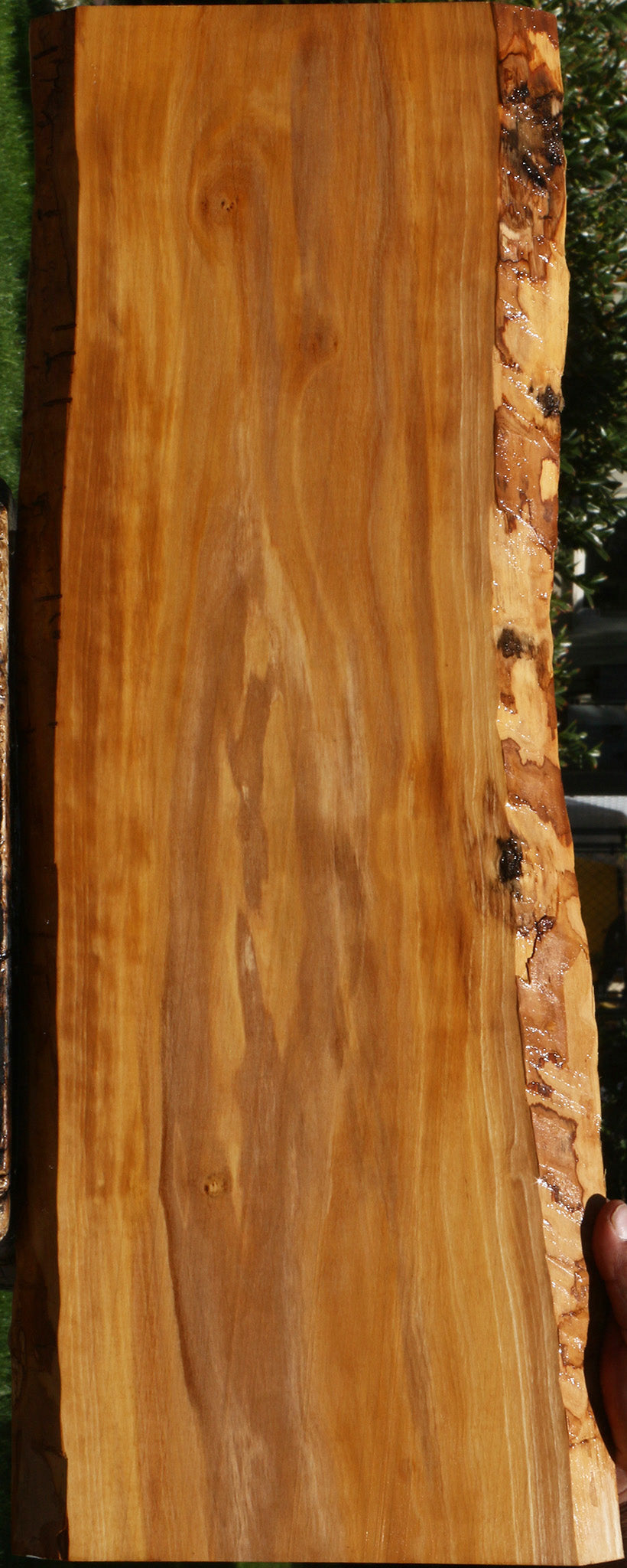Olive Live Edge Lumber