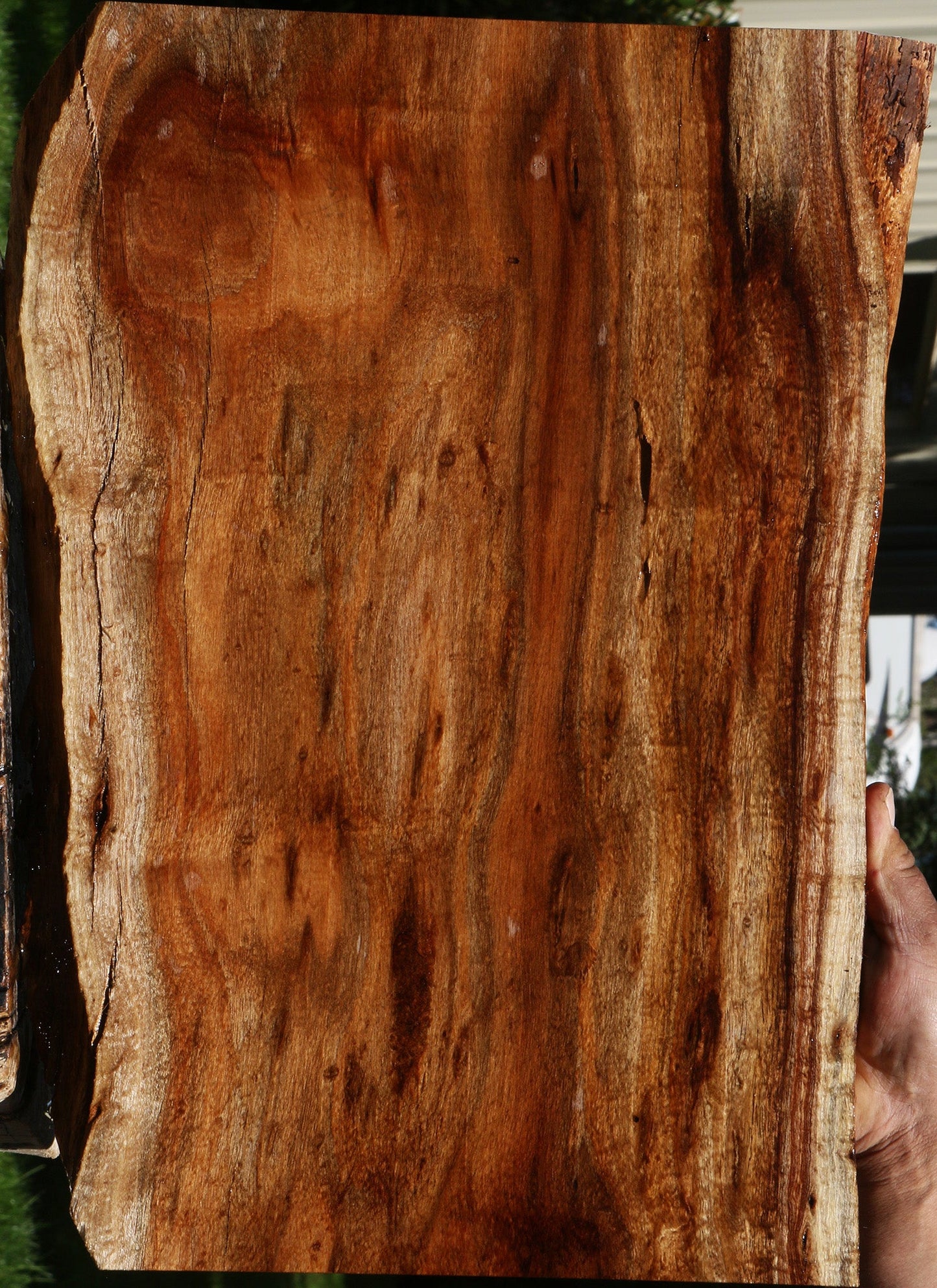 Extra Fancy Hawaiian Koa Live Edge Lumber