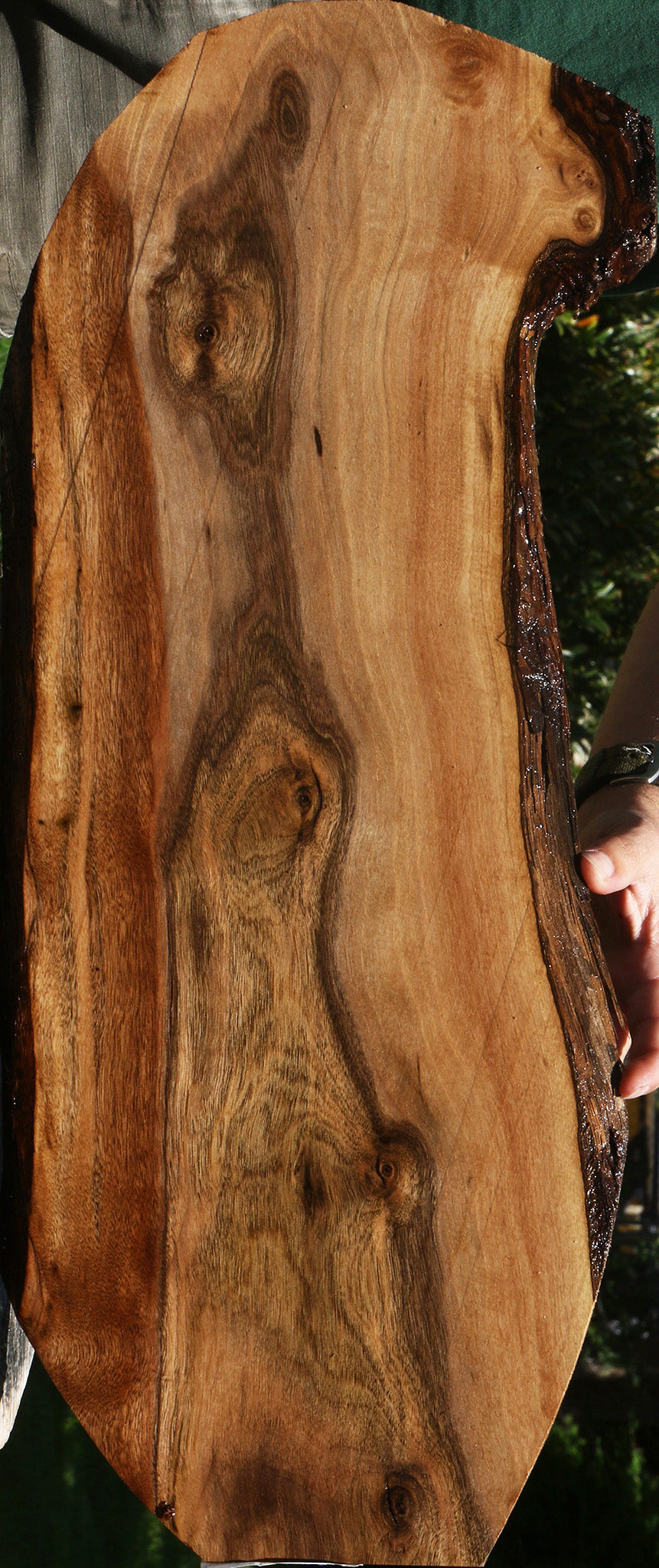 Claro Walnut Live Edge Micro Lumber