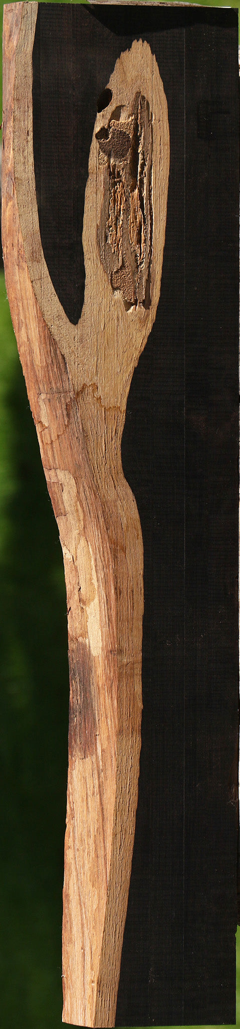 African Blackwood Live Edge Micro Lumber