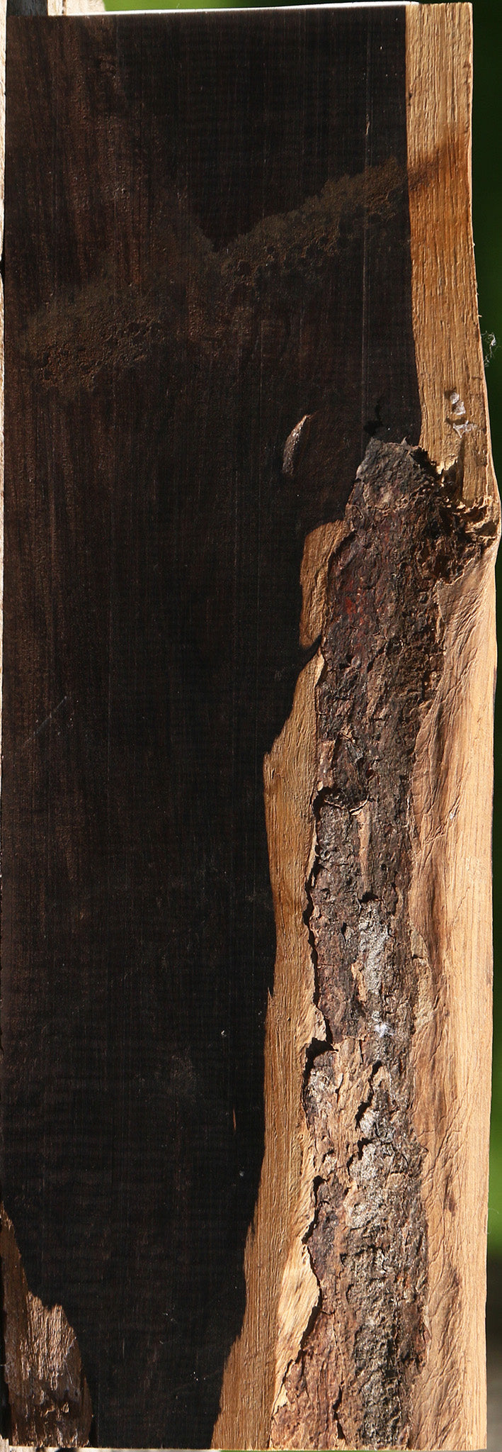 African Blackwood Live Edge Lumber