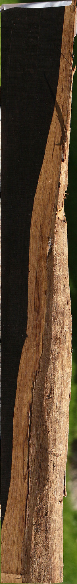 African Blackwood Live Edge Micro Lumber