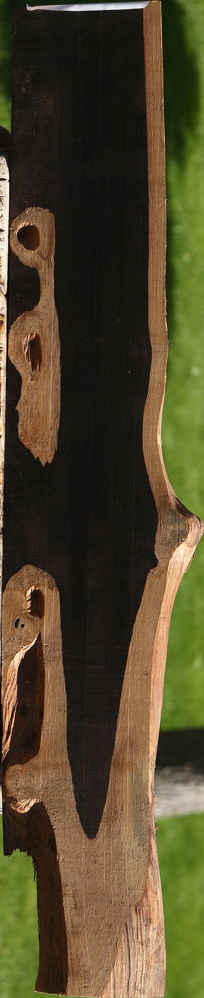 African Blackwood Live Edge Micro Lumber