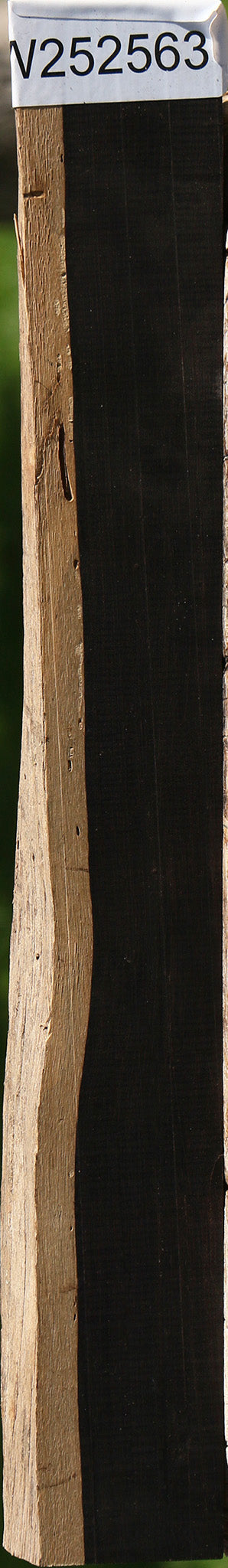 Rustic African Blackwood Live Edge Lumber