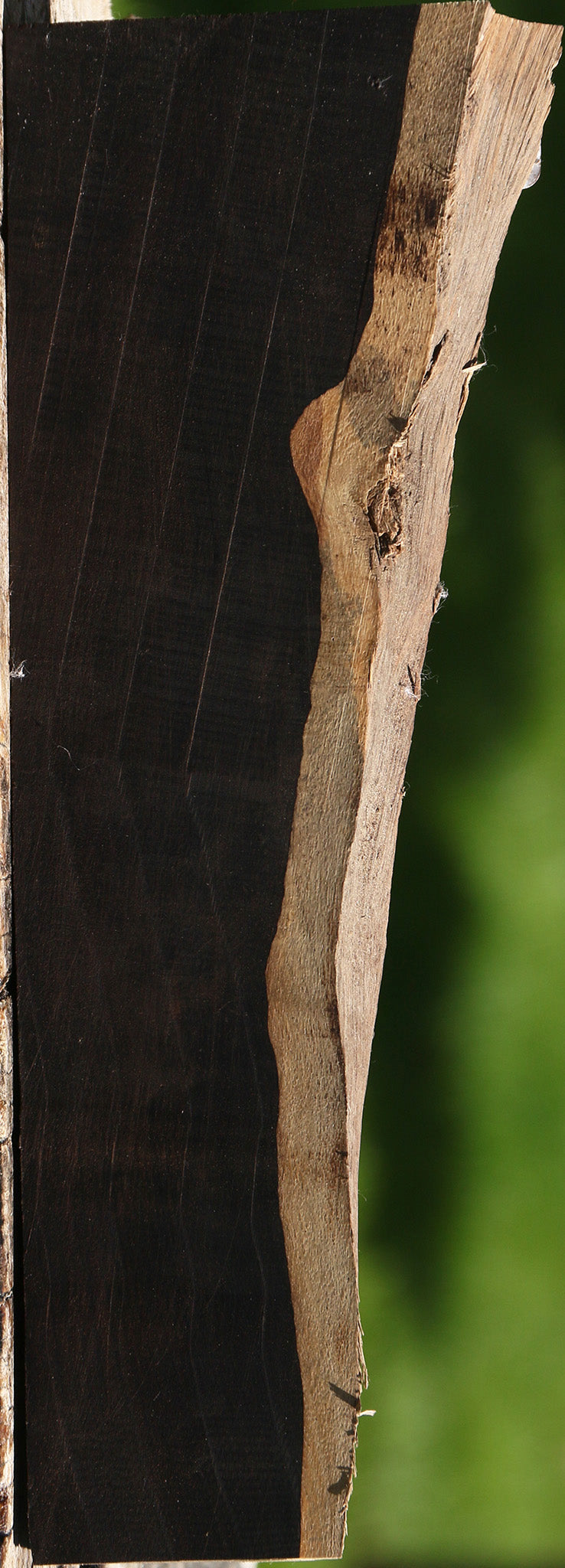 African Blackwood Live Edge Lumber