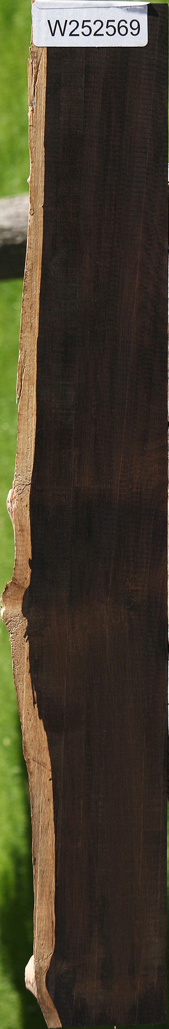 African Blackwood Live Edge Micro Lumber