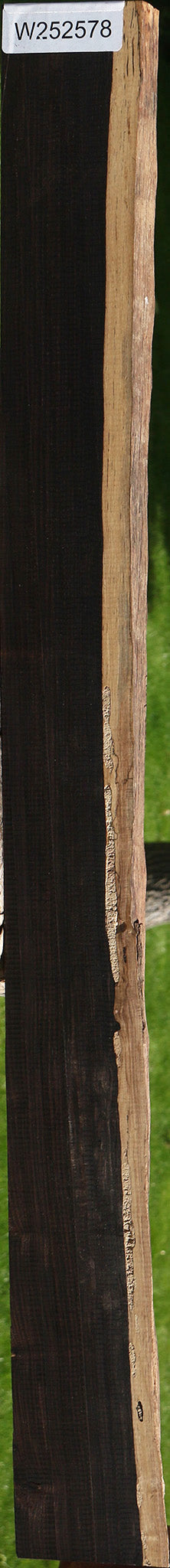African Blackwood Live Edge Micro Lumber