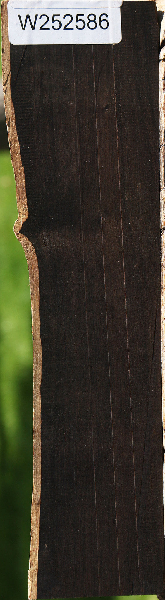African Blackwood Live Edge Lumber