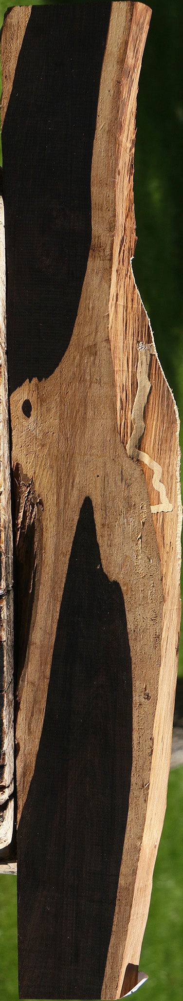 African Blackwood Live Edge Lumber