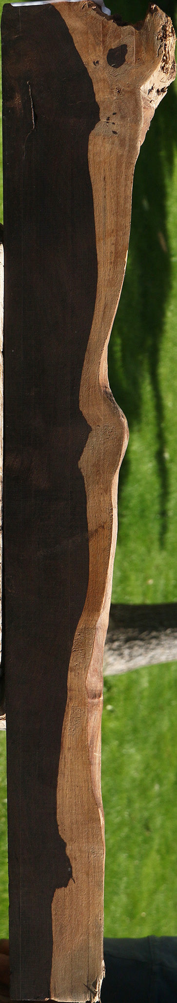 African Blackwood Live Edge Lumber