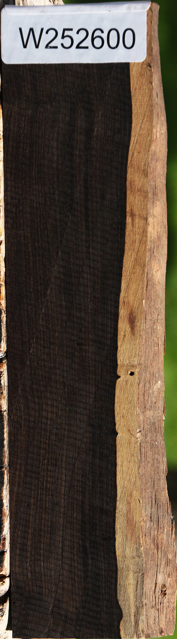 African Blackwood Live Edge Micro Lumber