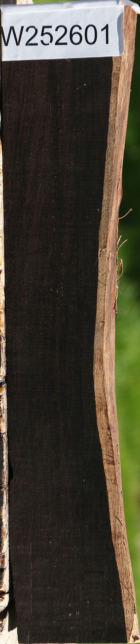 African Blackwood Live Edge Lumber
