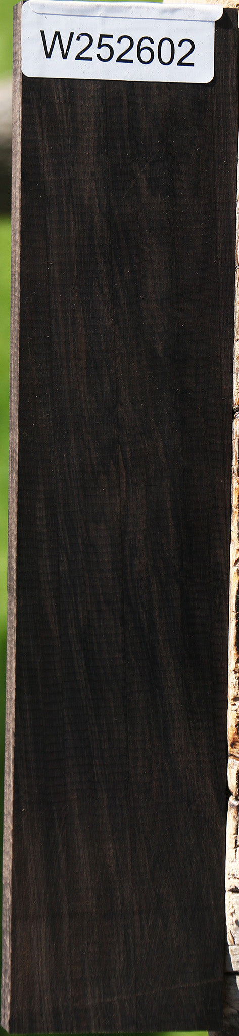 African Blackwood Micro Lumber