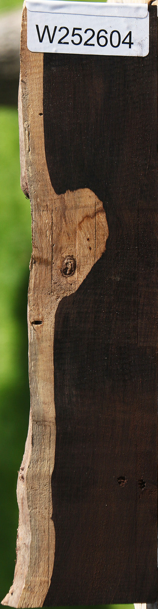 African Blackwood Live Edge Micro Lumber
