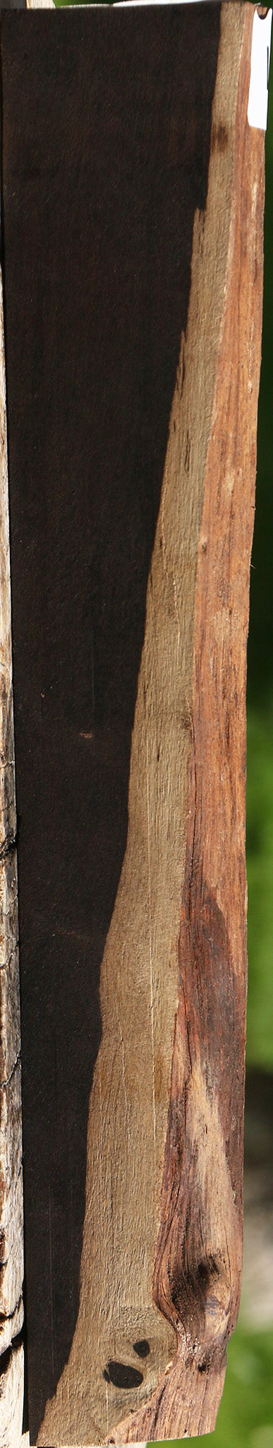 African Blackwood Live Edge Lumber