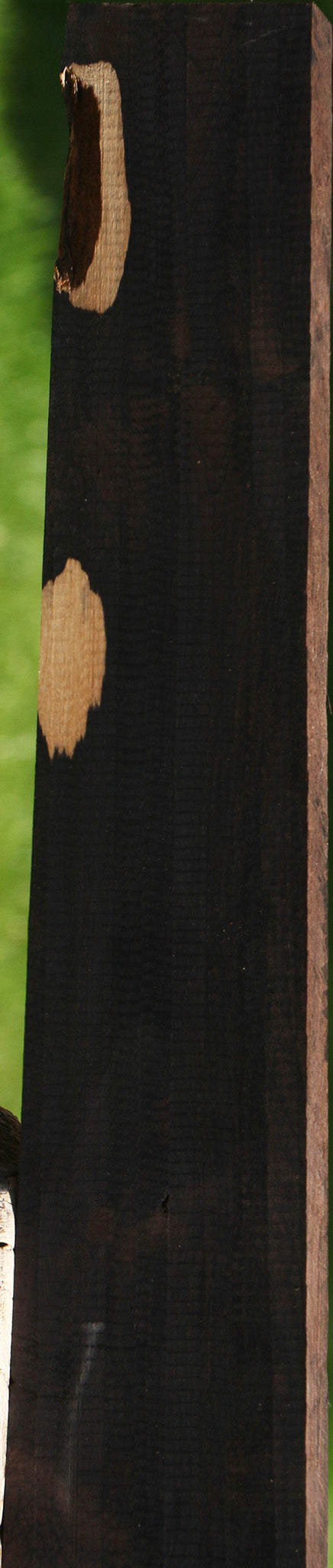 African Blackwood Live Edge Micro Lumber