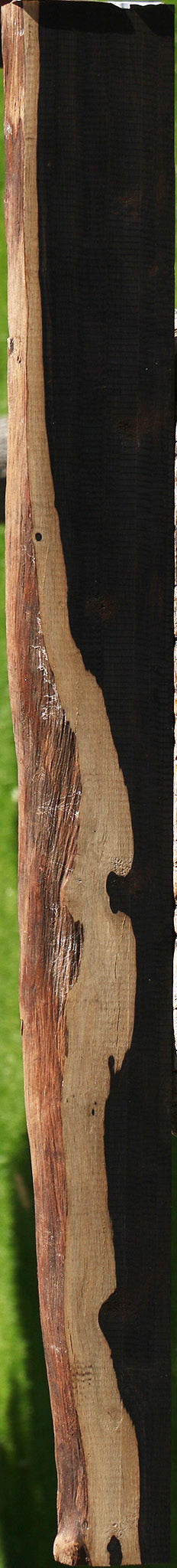 African Blackwood Live Edge Micro Lumber