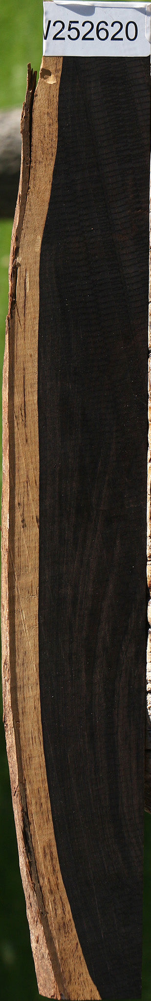 African Blackwood Live Edge Micro Lumber