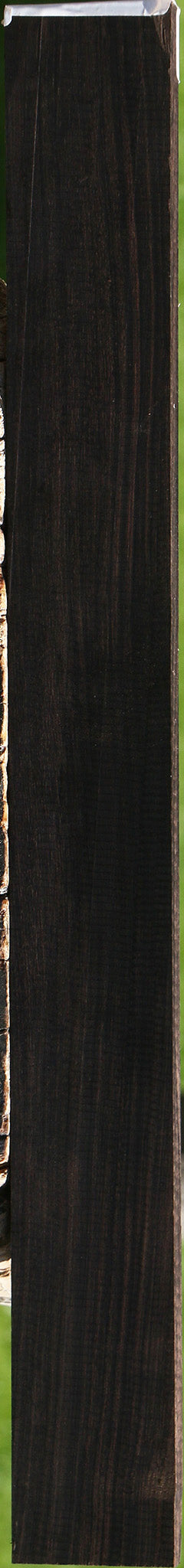 African Blackwood Micro Lumber