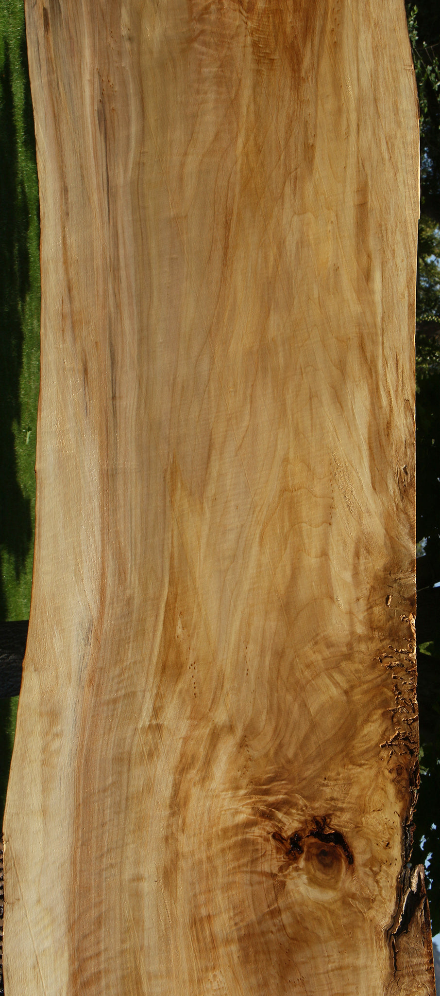 Extra Fancy Black Cottonwood Live Edge Slab