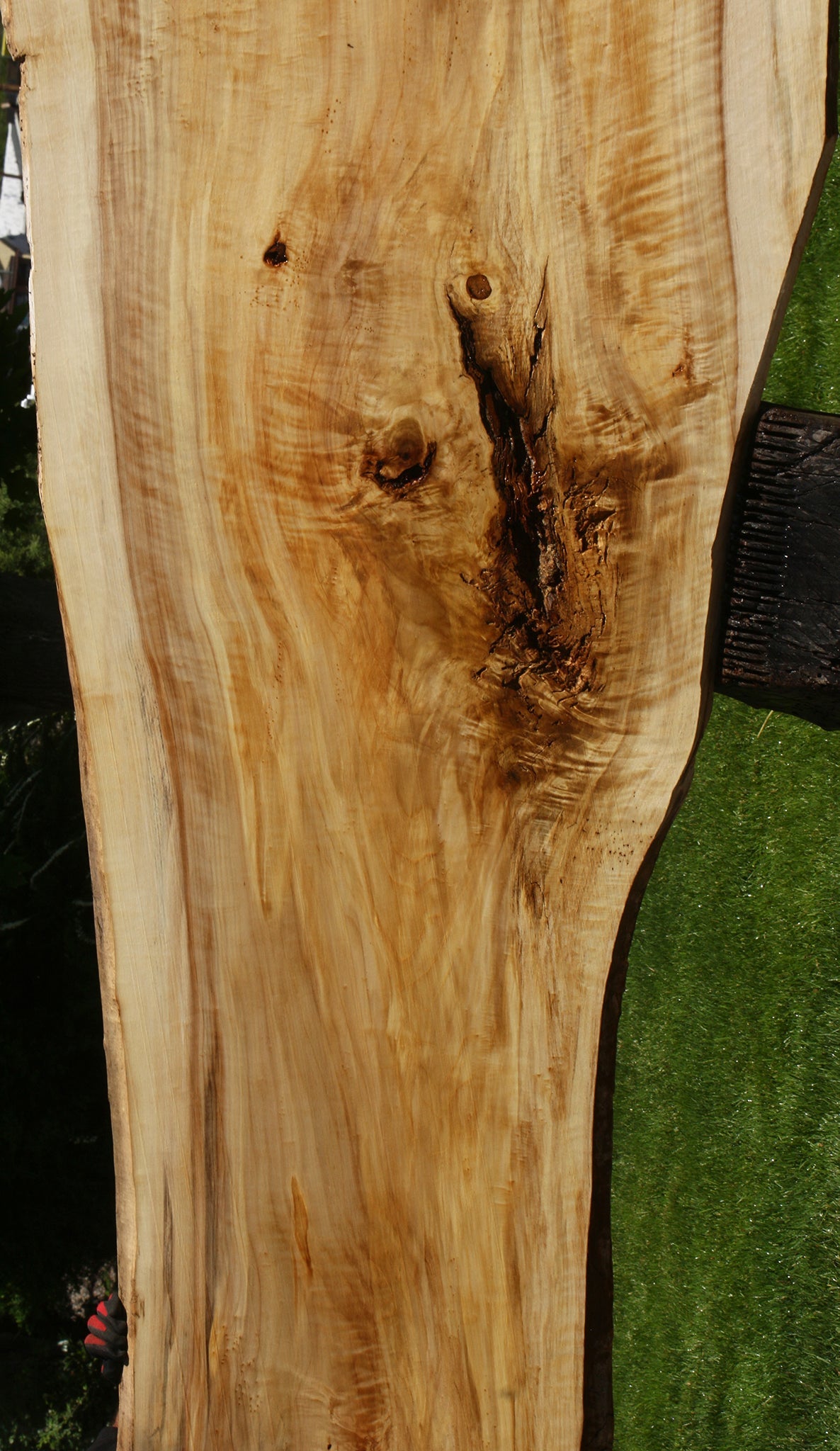 Extra Fancy Black Cottonwood Live Edge Slab