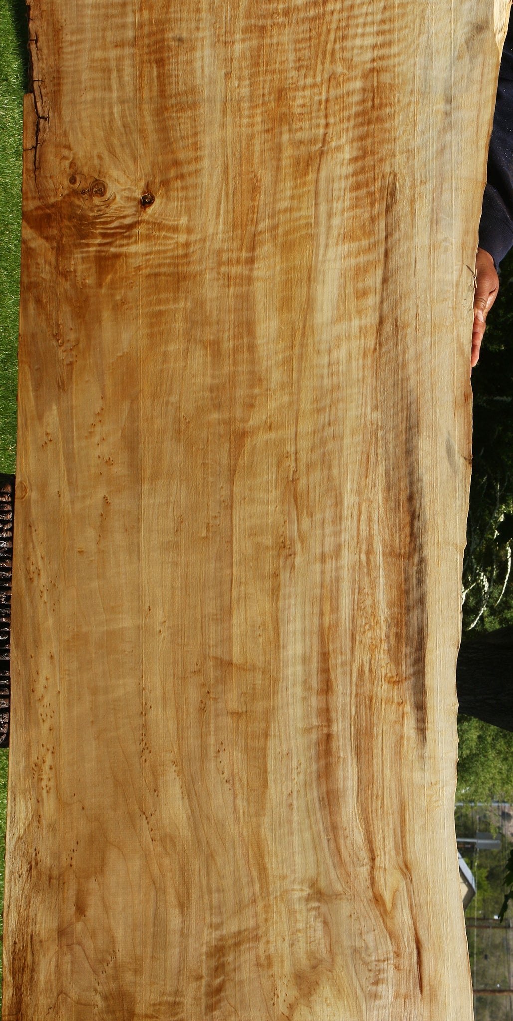 Extra Fancy Black Cottonwood Live Edge Slab