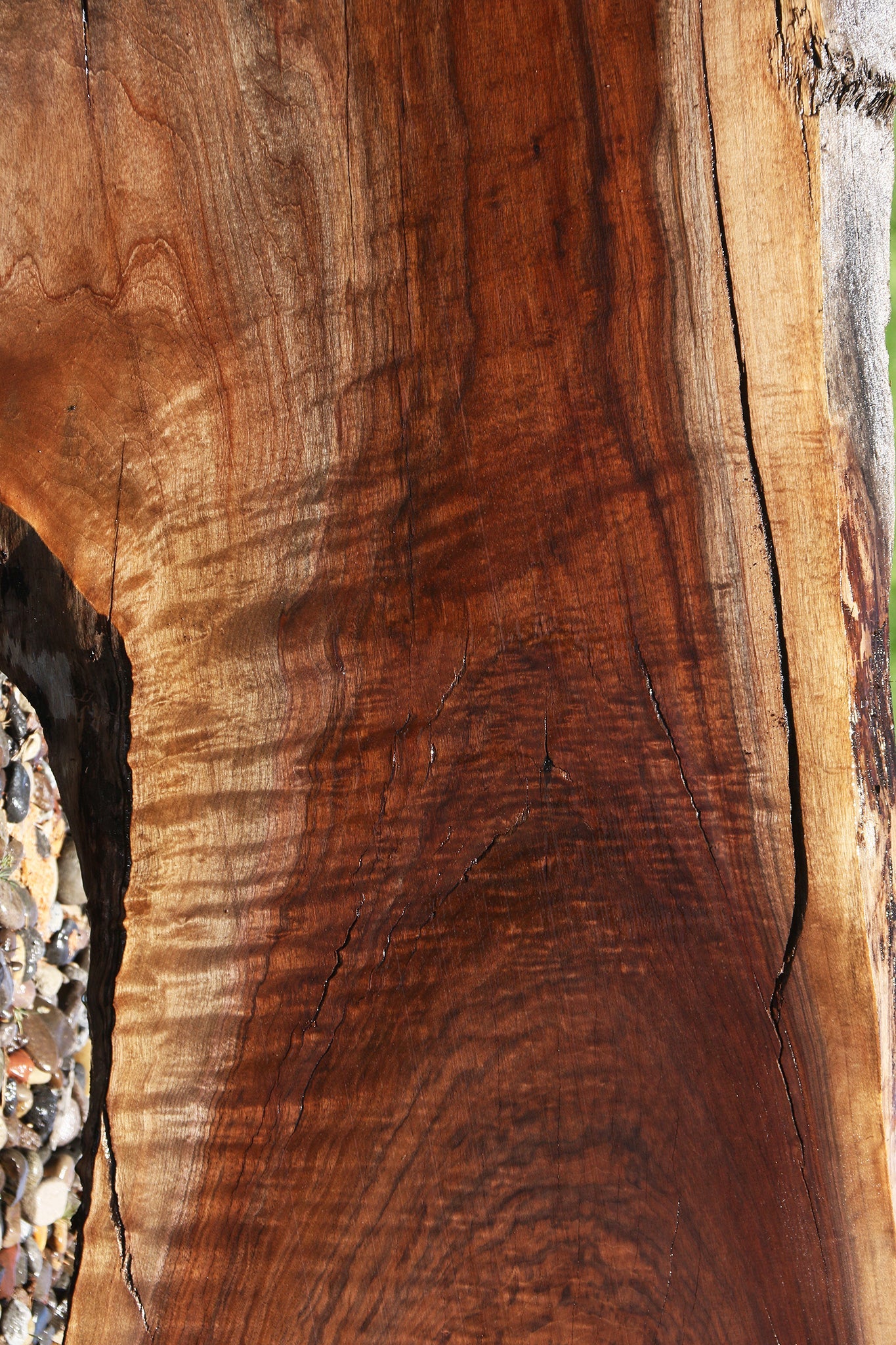 Extra Fancy Rustic Claro Walnut Live Edge Slab