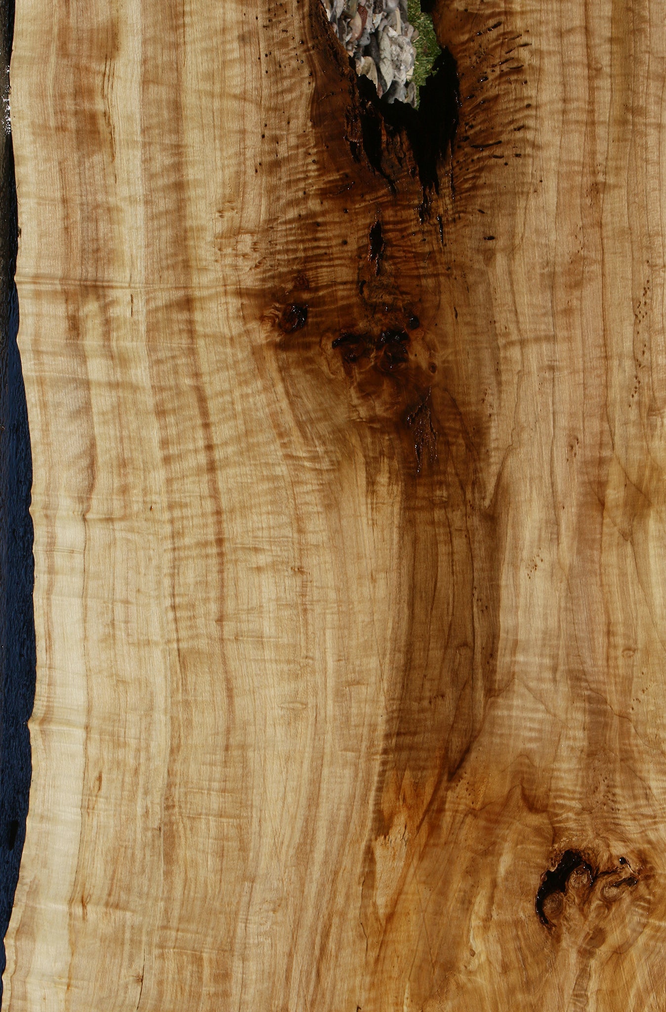 Extra Fancy Black Cottonwood Live Edge Slab