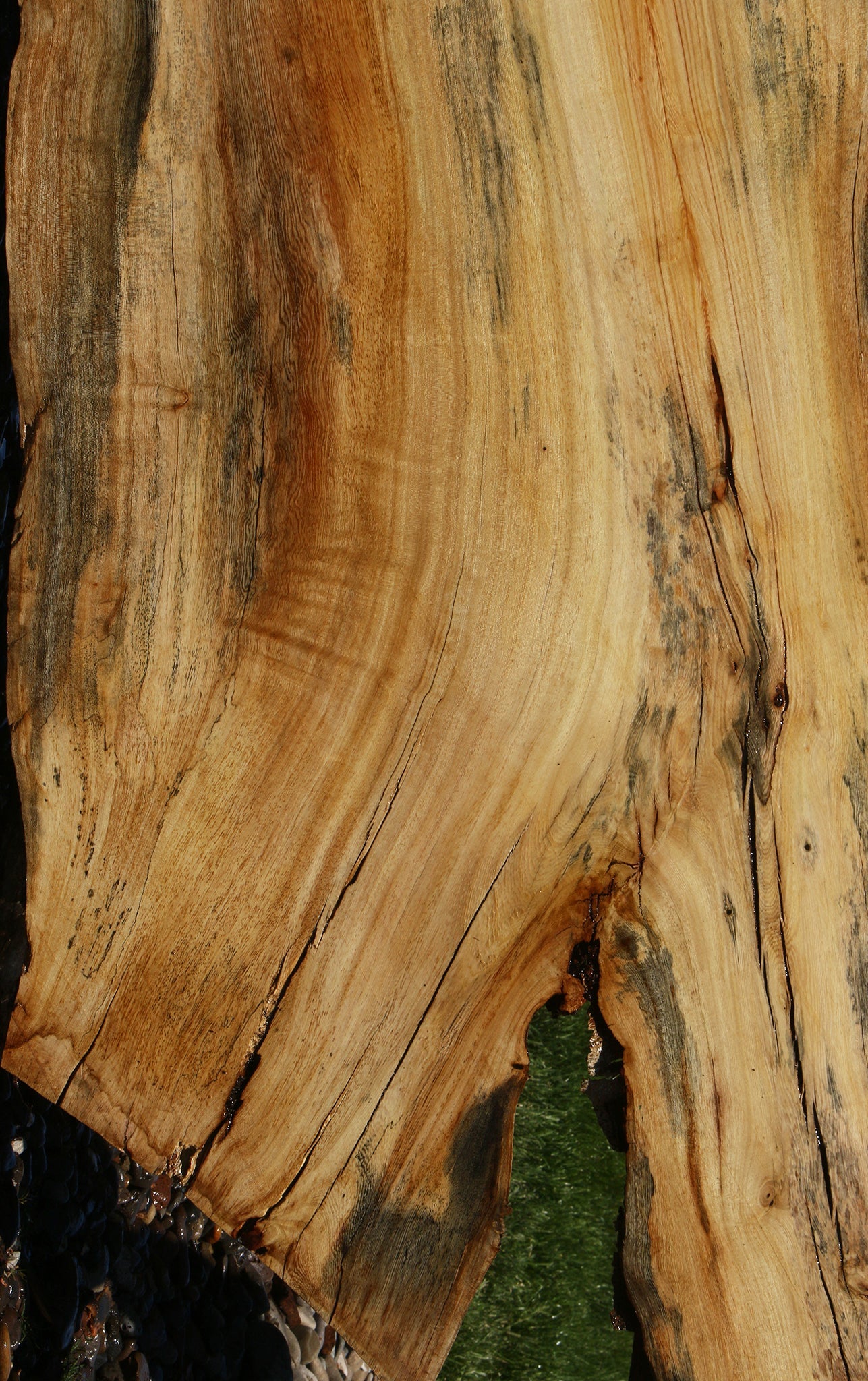 Rustic Spalted Hackberry Live Edge Slab