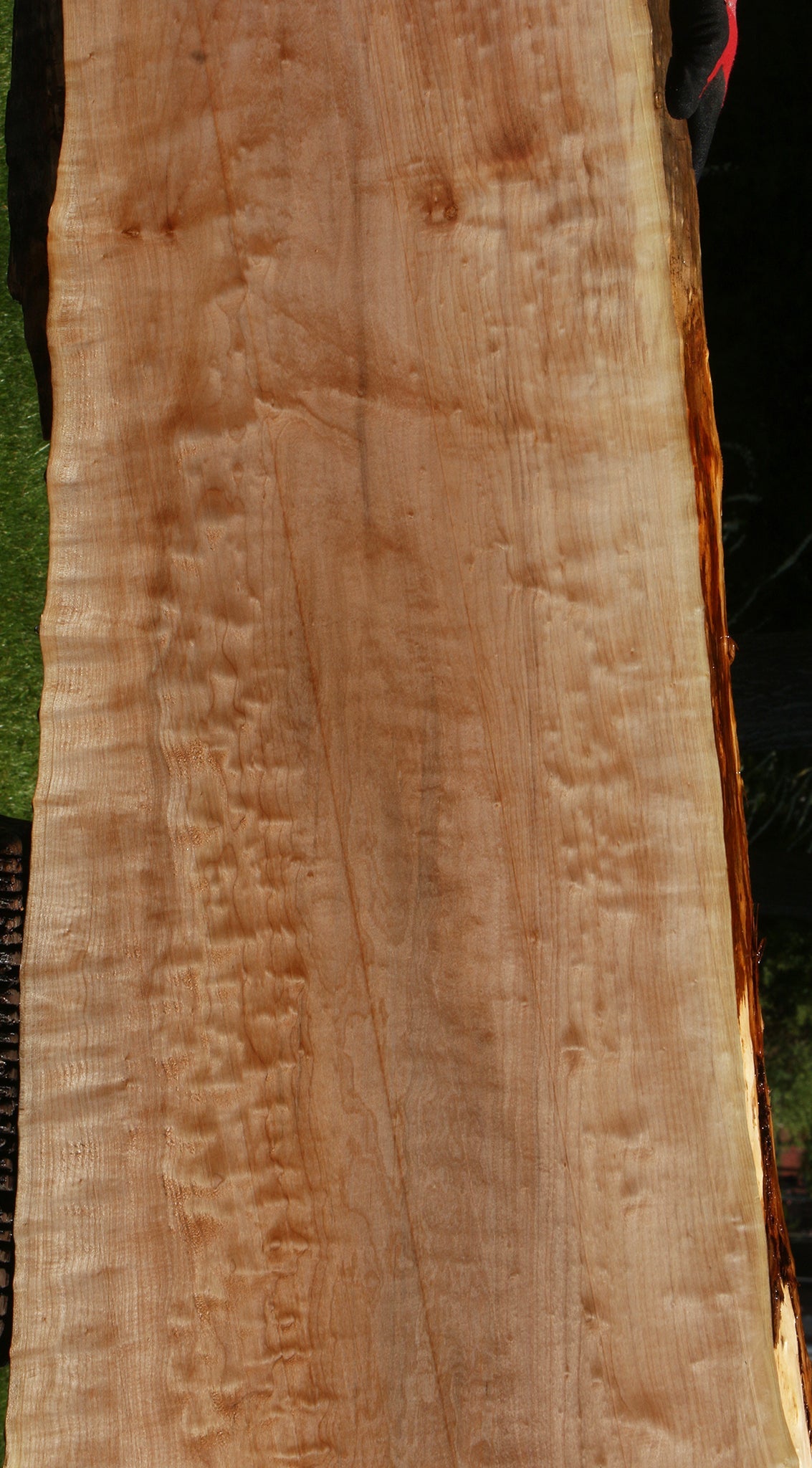 Extra Fancy Quilted Maple Live Edge Slab (Free Shipping Excluded)
