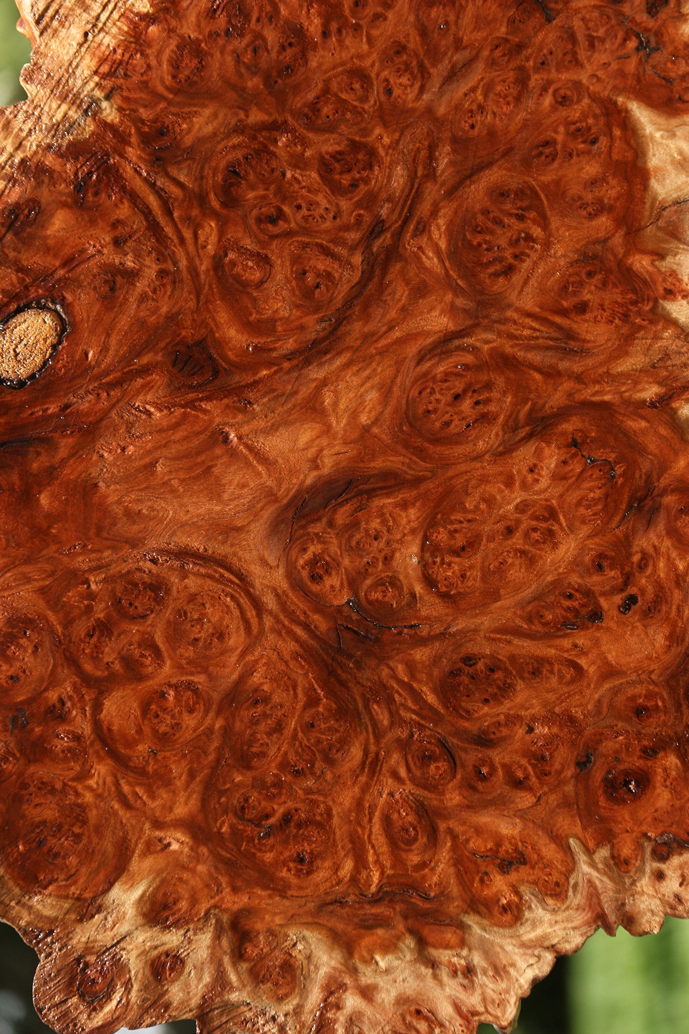Pan Burl Cookie