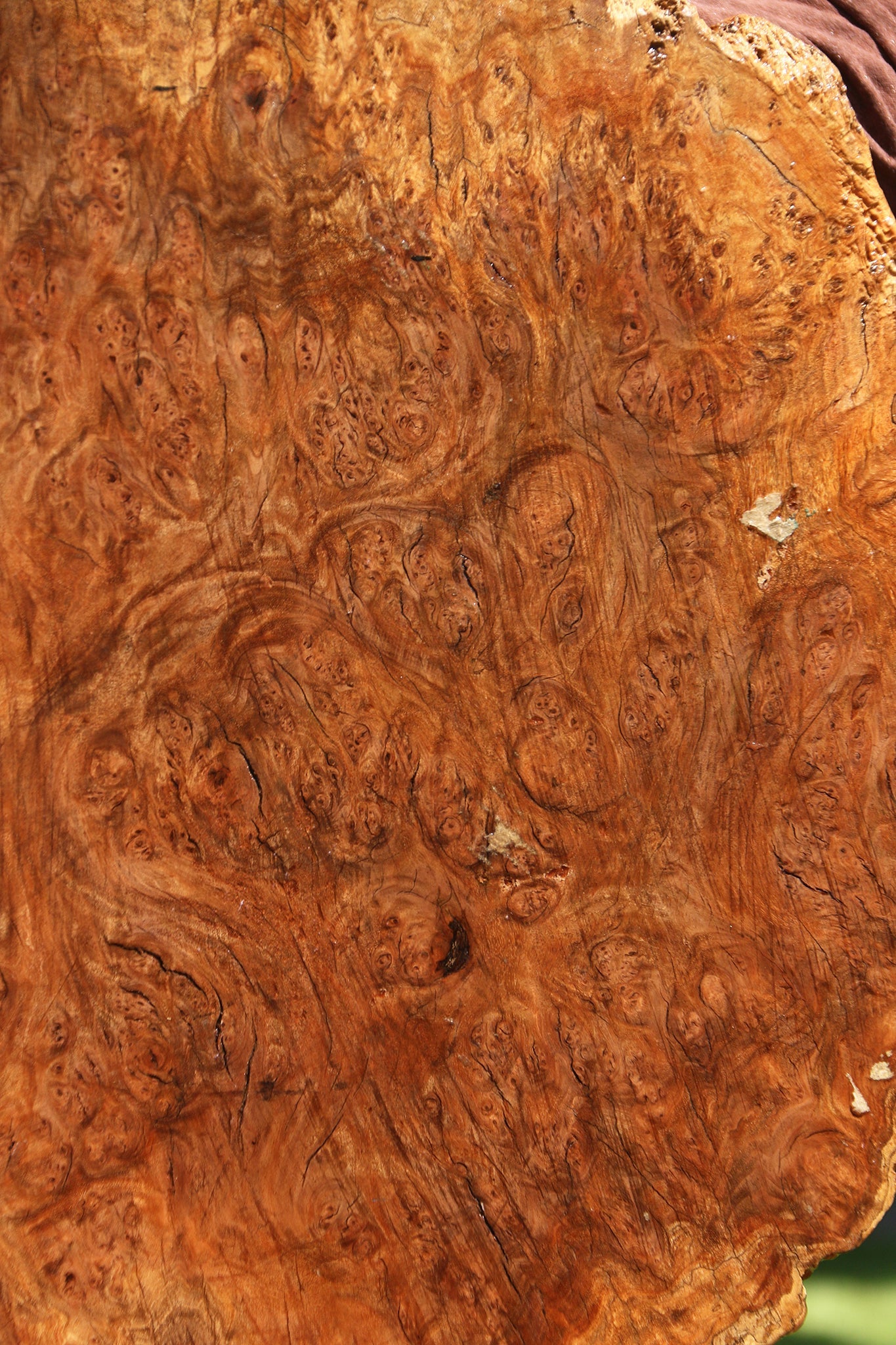 Asian Iron Burl Cookie