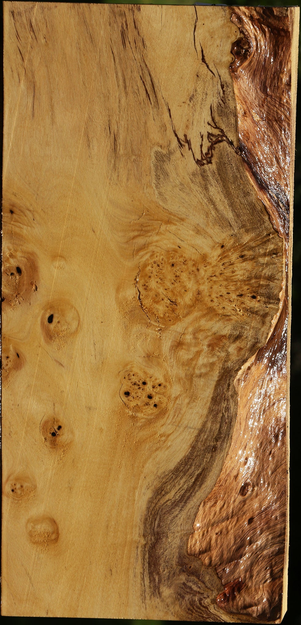 Rustic Black and White Ebony Burl Lumber