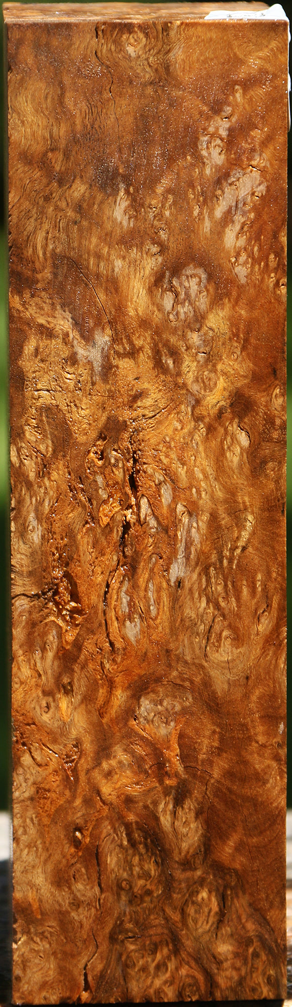 Rustic Almond Burl Turning Blank