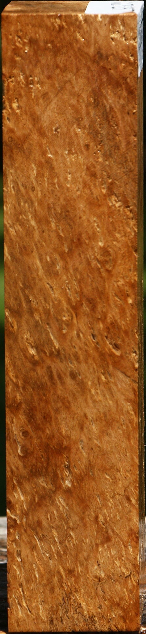 Extra Fancy Asian Satinwood Burl Turning Blank