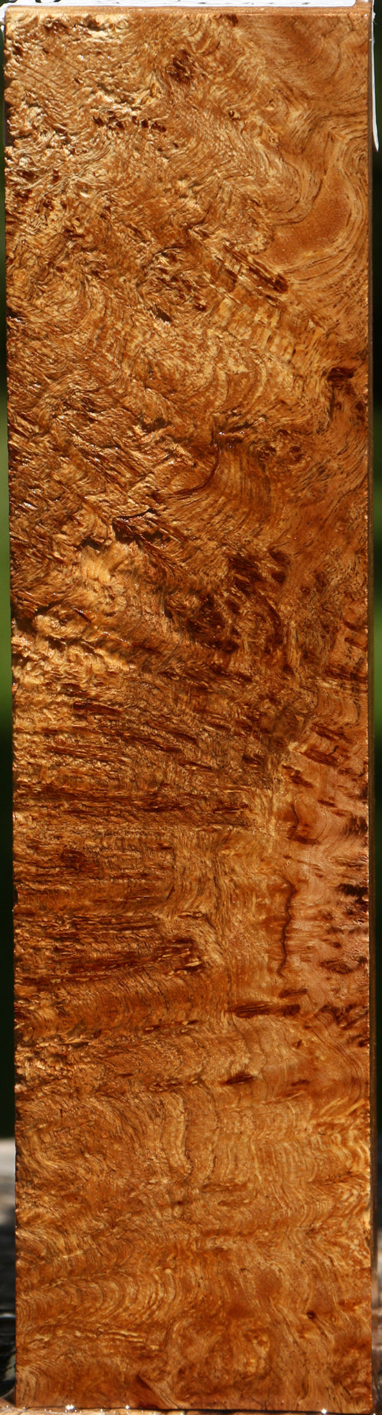 Asian Satinwood Burl Turning Blank