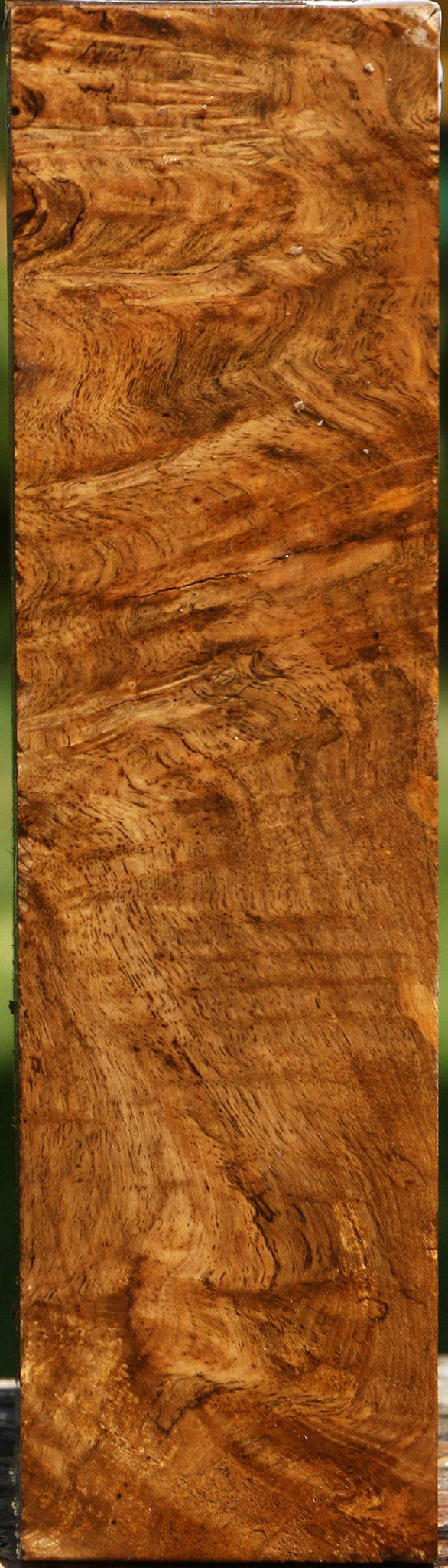 Almond Burl Turning Blank