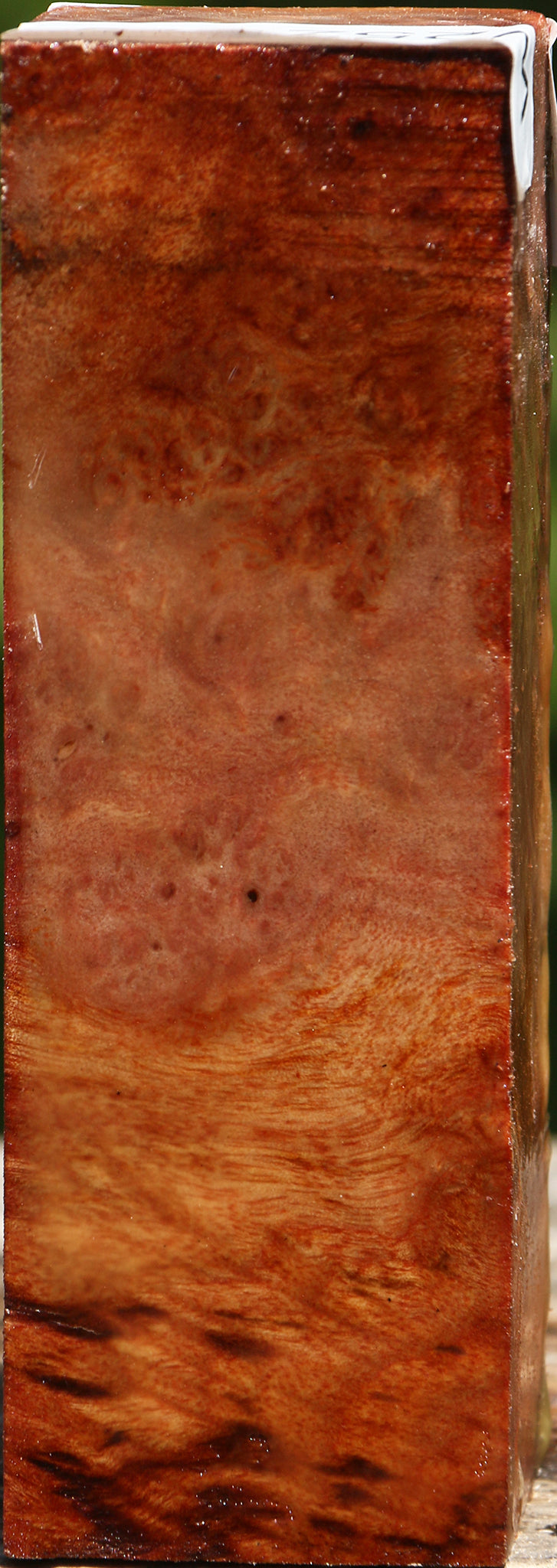 Camphor Burl Turning Square