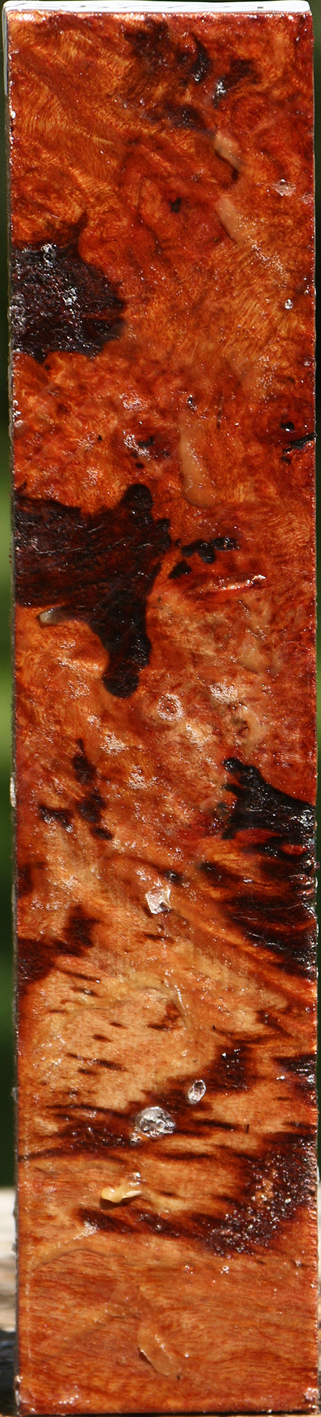 Rustic Camphor Burl Lumber