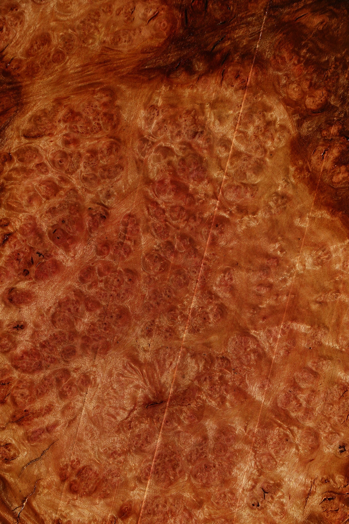 Camphor Burl Live Edge Lumber